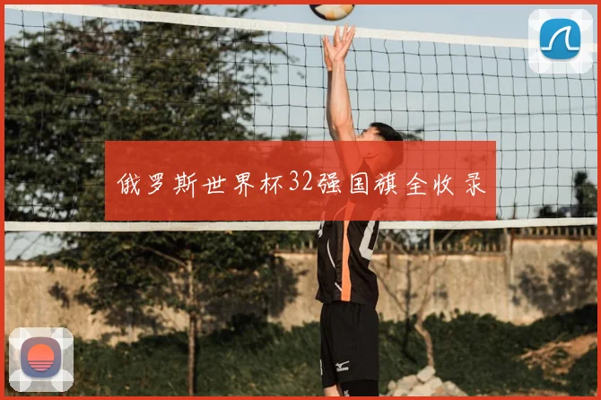 俄罗斯世界杯32强国旗全收录