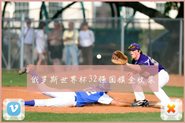 俄罗斯世界杯32强国旗全收录