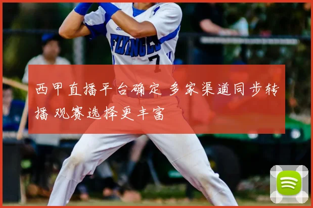 西甲直播平台确定 多家渠道同步转播 观赛选择更丰富
