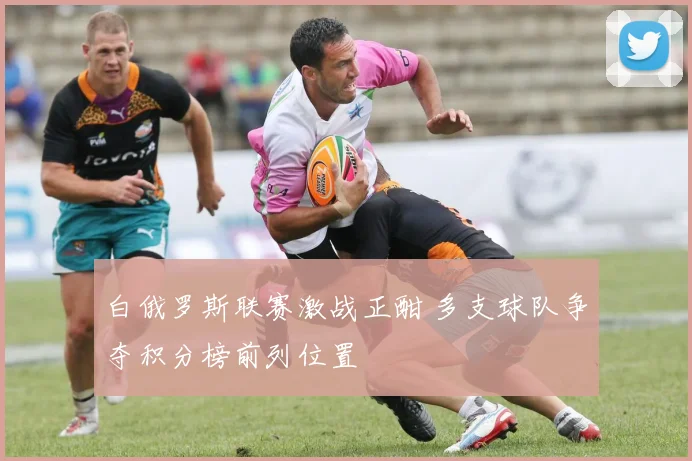 白俄罗斯联赛激战正酣 多支球队争夺积分榜前列位置